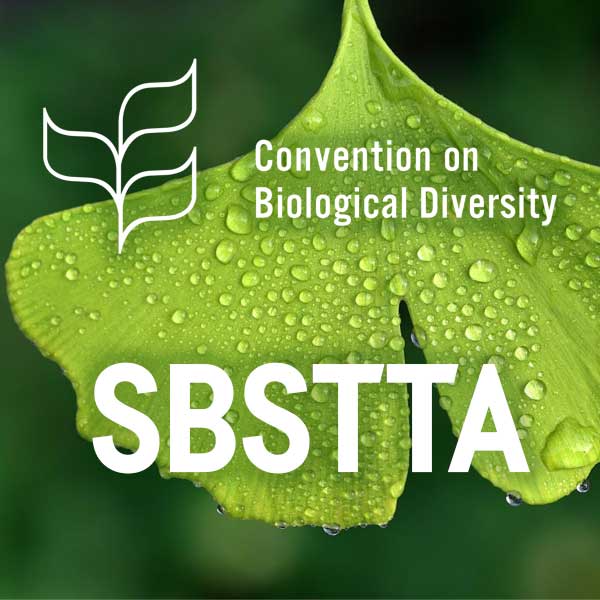 Subsidiary Body on Scientific, Technical and Technological Advice
