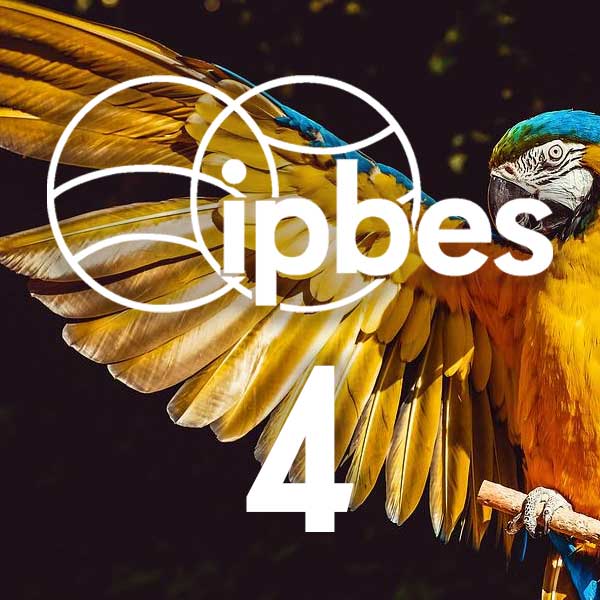 Intergovernmental Science-Policy Platform on Biodiversity and Ecosystem Services 4