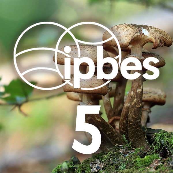 Intergovernmental Science-Policy Platform on Biodiversity and Ecosystem Services 5
