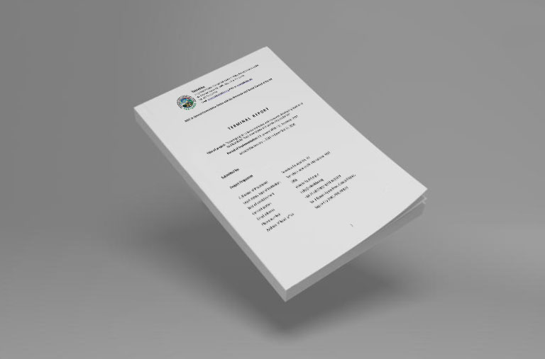 Terminal Report 2016-2020