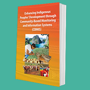 Gains and Lessons Learned on CBMIS and IPSSDD Implementation in Select Communities in the Cordillera Region, Philippines